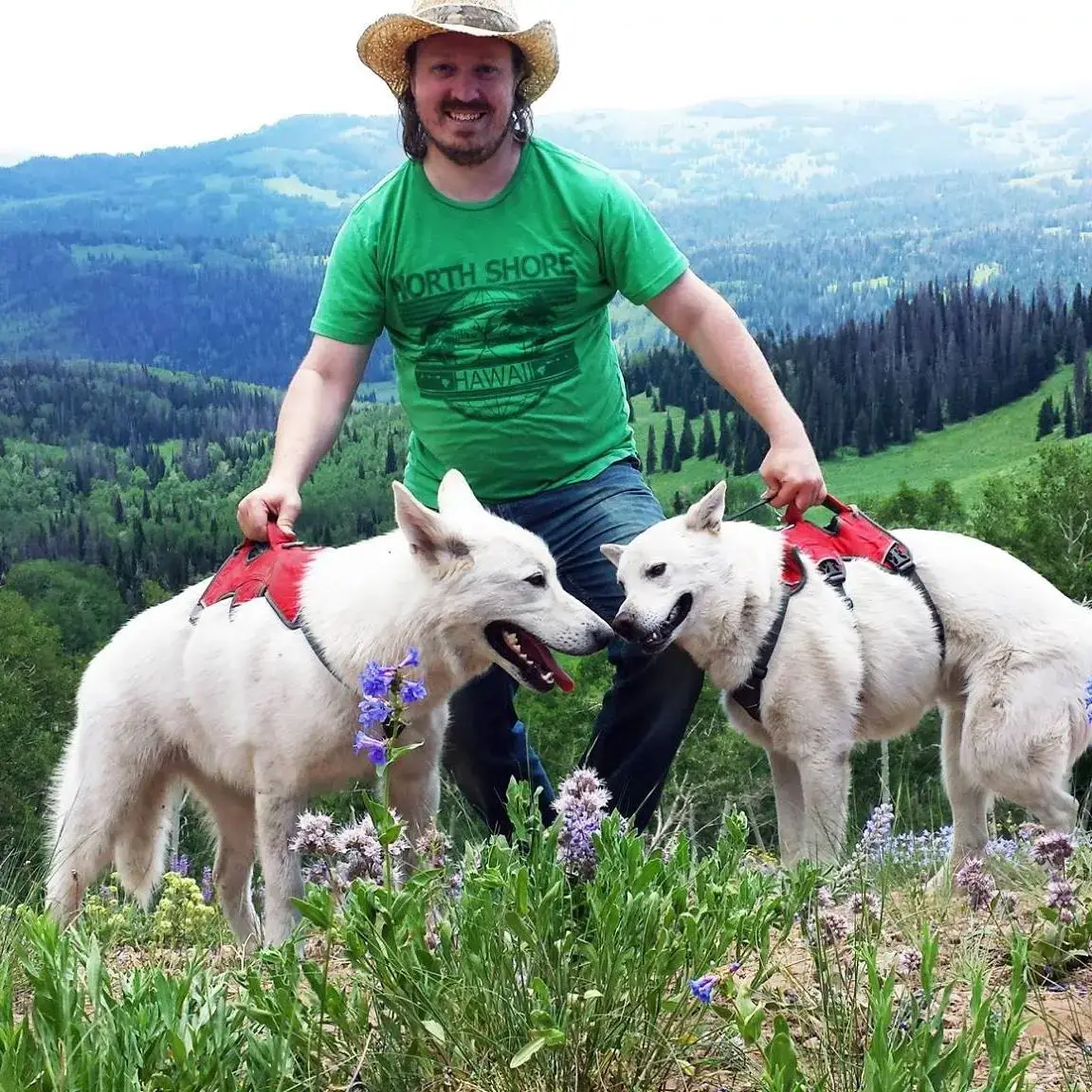 EyeOnTheBet developer with dogs Fergus and Finn